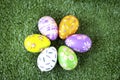 Colorful Easter eggs on green grass at the yard   festival and holiday spring coming  Easter calibration Royalty Free Stock Photo