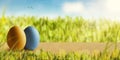 Colorful easter eggs in a green, sunny scenery Royalty Free Stock Photo