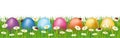 Colorful easter eggs hidden in a field. Spring banner with daisies and ladybugs.