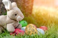 Colorful Easter eggs and little bunny in grass background. Spring holidays concept