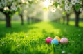Colorful easter eggs on lush green grass with blossom trees in springtime. copy space Royalty Free Stock Photo