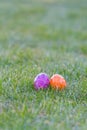Colorful easter eggs lying in the backyard grass. copyspace