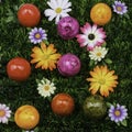 Colorful Easter eggs meadow Royalty Free Stock Photo