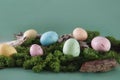 Colorful Easter eggs in a moss and woods on muted green background. Happy Easter holiday hunt. Selective focus. Copy