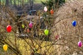 Colorful Easter eggs move on a bush in spring 4k Royalty Free Stock Photo