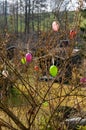 Colorful Easter eggs move on a bush in spring vertical Royalty Free Stock Photo