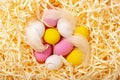 Colorful Easter eggs in nest with feathers close up