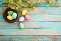 Colorful Easter eggs in nest with flower on rustic wooden planks background in blue paint. Royalty Free Stock Photo