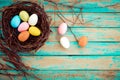 Colorful Easter eggs in nest with flower on rustic wooden planks background in blue paint. Royalty Free Stock Photo