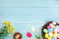 Colorful Easter eggs in nest with flowers on blue wooden background. Royalty Free Stock Photo