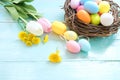 Colorful Easter eggs in nest with flowers on blue wooden background. Royalty Free Stock Photo