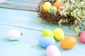 Colorful Easter eggs in nest with flowers on blue wooden background. Royalty Free Stock Photo