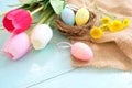 Colorful Easter eggs in nest with flowers on blue wooden background.