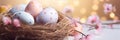 Colorful Easter eggs in nest with soft bokeh and pink blossoms banner. Panoramic web header. Wide screen wallpaper