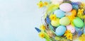 Colorful Easter eggs in nest and spring flowers on rustic table top view. Holiday card or banner