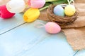 Colorful Easter eggs in nest with tulip flowers on blue wooden background. Royalty Free Stock Photo