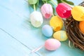 Colorful Easter eggs in nest with tulip flowers on blue wooden background. Royalty Free Stock Photo