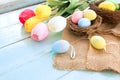 Colorful Easter eggs in nest with tulip flowers on blue wooden background. Royalty Free Stock Photo