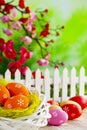 Colorful Easter eggs in the nest and wooden table and branches with spring flowers on nature background Royalty Free Stock Photo