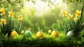 Easter Eggs and Yellow Daffodils in Green Grass During Spring Season Royalty Free Stock Photo