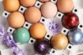 Colorful easter eggs on paper tray Royalty Free Stock Photo