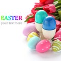 Colorful easter eggs and pink tulips over white with sample text Royalty Free Stock Photo