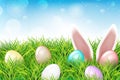 Colorful Easter eggs and rabbit ears sticking out grass Royalty Free Stock Photo