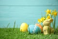 Colorful Easter eggs, rabbit and narcissus flowers in green grass against light blue background. Space for text Royalty Free Stock Photo