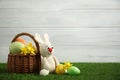 Colorful Easter eggs, rabbit and narcissus flowers on green grass against background. Space for text Royalty Free Stock Photo