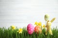 Easter eggs, rabbit and narcissus flowers in green grass against white background. Space for text Royalty Free Stock Photo