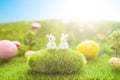 Colorful easter eggs and rabbits toy on fresh spring grass in the garden. Close up of easter bunny Royalty Free Stock Photo