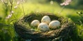 Colorful Easter Eggs Resting in a Grass Nest, Vibrant Easter Nest Filled with Decorative Eggs Royalty Free Stock Photo