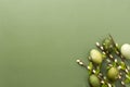 Colorful Easter eggs in shades of green are displayed alongside delicate branches adorned with flowers, set against a Royalty Free Stock Photo
