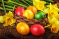 Colorful Easter eggs with spring flowers on dark wooden board sunlight effect Royalty Free Stock Photo