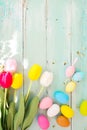 Colorful Easter eggs with tulip flower on rustic wooden planks background. Royalty Free Stock Photo