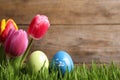 Colorful Easter eggs and tulip flowers in green grass against wooden background. Space for text Royalty Free Stock Photo