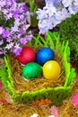 Colorful easter eggs, vertical composition Royalty Free Stock Photo