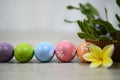 Colorful Easter eggs on white bright background. Easter egg backgrounds. Happy Easter.
