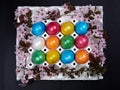 Colorful Easter eggs in a white egg box or egg carton Royalty Free Stock Photo