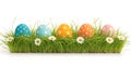 Colorful Easter eggs with white flowers in green grass on a white background Royalty Free Stock Photo