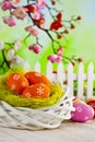 Colorful Easter eggs, white nest and fence on wooden table Royalty Free Stock Photo