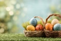 Colorful Easter Eggs in Wicker Baskets on Grass With Blurred Background During Springtime Royalty Free Stock Photo