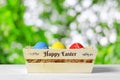 Colorful easter eggs on wooden box with Happy Easter Royalty Free Stock Photo