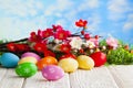 Colorful Easter eggs on wooden table and branch with flowers on grass and blue sky background Royalty Free Stock Photo