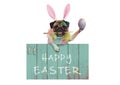 Colorful easter pug dog bunny painting easter eggs with paintbrush, hanging on vintage wooden sign with text happy easter Royalty Free Stock Photo