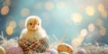 Colorful Easterthemed Postcard With Adorable Small Chicken In A Shell, Showcasing Copy Space, Copy Space