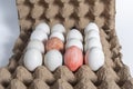 Colorful egg surrounded by plain white eggs in a cardboard box for Easter Royalty Free Stock Photo