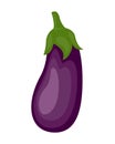 Colorful eggplant vector illustration isolated on white background.