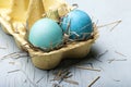 Colorful eggs in boxes. Happy Easter. Easter eggs. Royalty Free Stock Photo