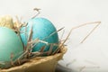 Colorful eggs in boxes. Happy Easter. Easter eggs. Royalty Free Stock Photo